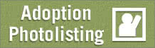 View Missouri Adoption Photolisting website.